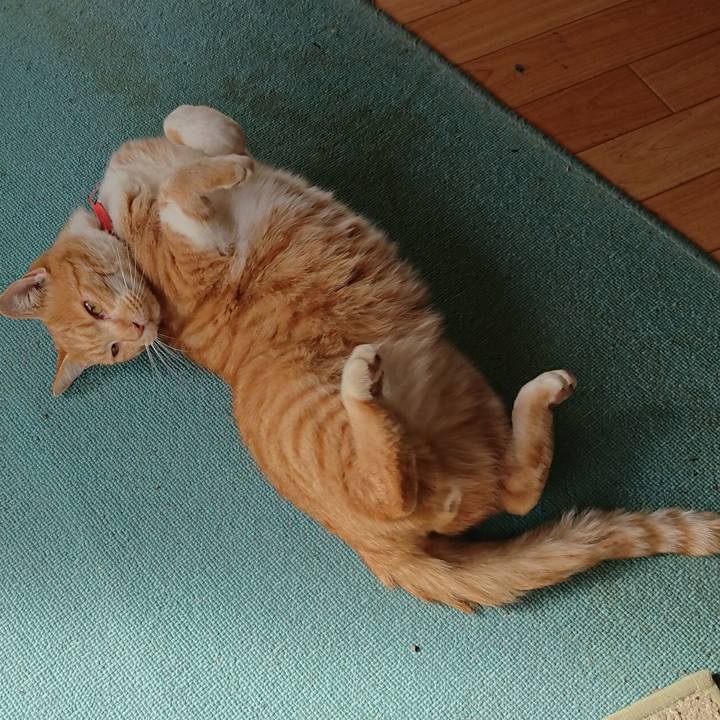 2b01290e b490 4b8d b171 aed662ea2577 1572755525636