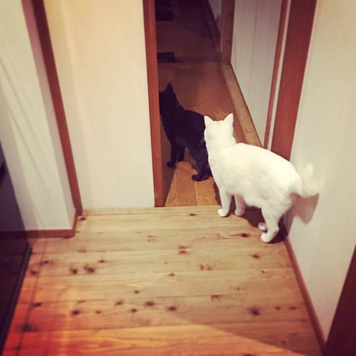 2b012fdf b682 4ac0 a989 8991237e51ee 1512822507957