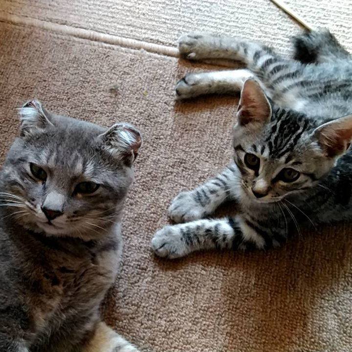 2b014722 905d 41e5 94be 1d7c07e272a5 1693466334706