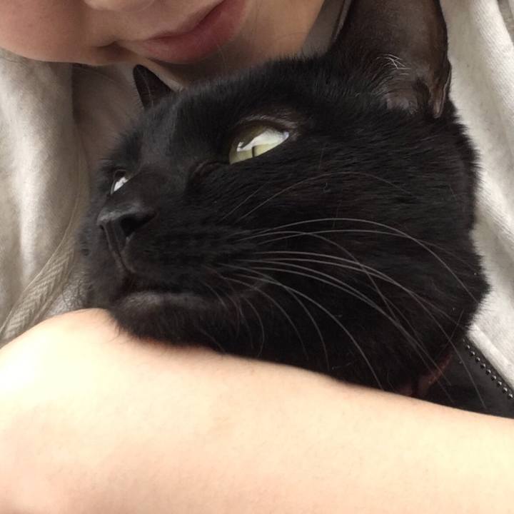 2b015330 cf09 4bfb 85f1 05c12f8e9ac0 1510617117910