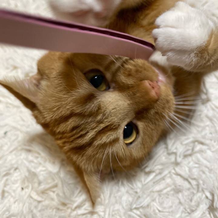 2b019d66 574f 40b3 9917 e2f2d6b30b44 1646221862939