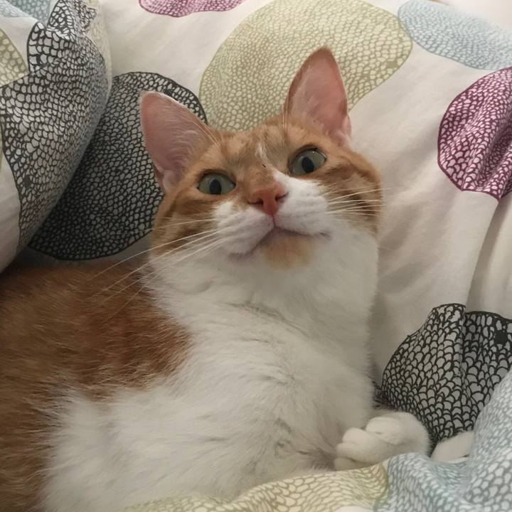 2b01d29e 8e22 45a9 8573 d05974ff12f9 1550831949614