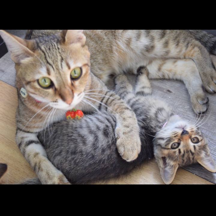 2b01f598 72bb 4b03 9fdf 7f930cd9e584 1601714650856