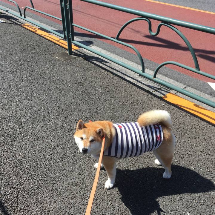 2b01fb28 c099 47f3 aaf3 20683d403bfc 1553143718515