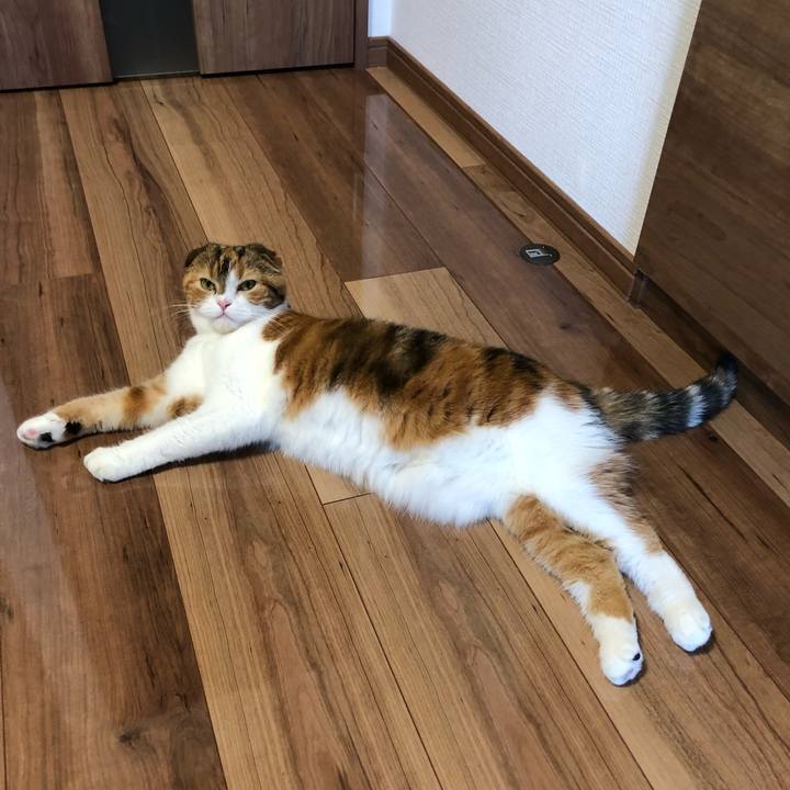 2b02005f 8c41 4bd6 b396 06e4d90caf1c 1534478733015