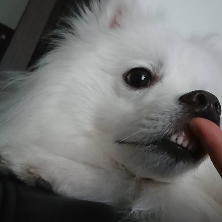 2b021a0c 96e2 45b9 9f4c dad3a8295950 1586512942651