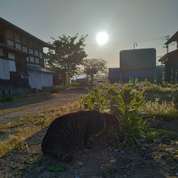 2b024eef ed7e 41b0 9d42 87545dd22ea2 1714687162691