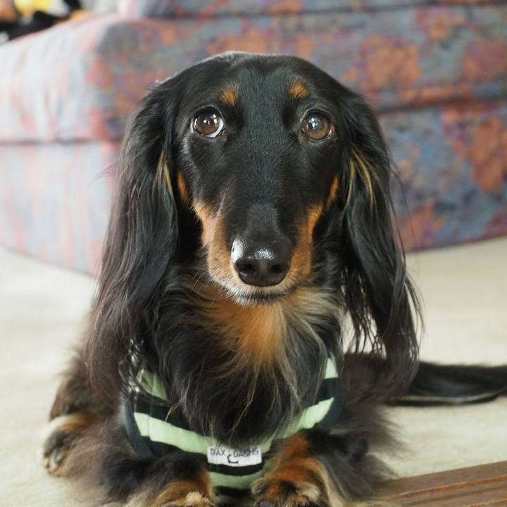 2b0250b9 6a4c 43e4 b210 a6e33544c4b9 1528851802242