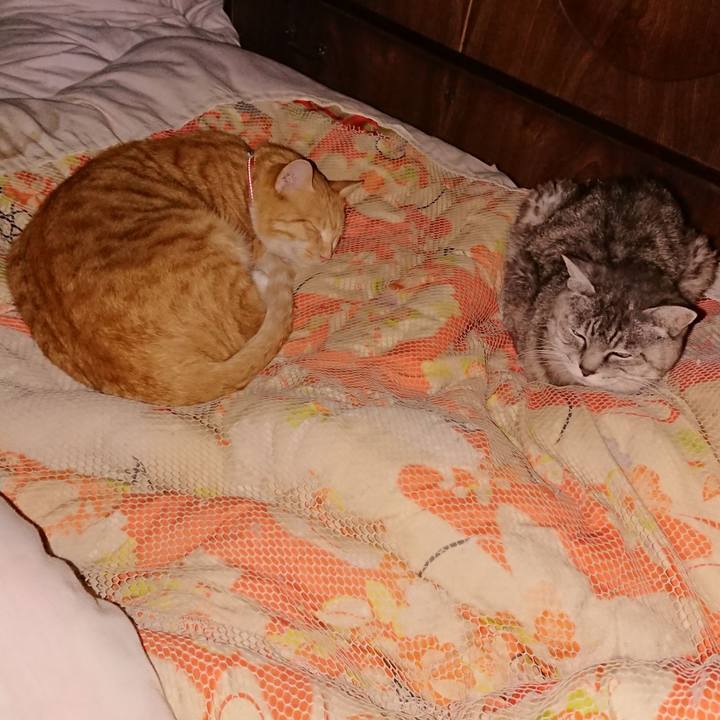 2b025863 50a4 4a67 81c5 77e258b5fc64 1570220145363