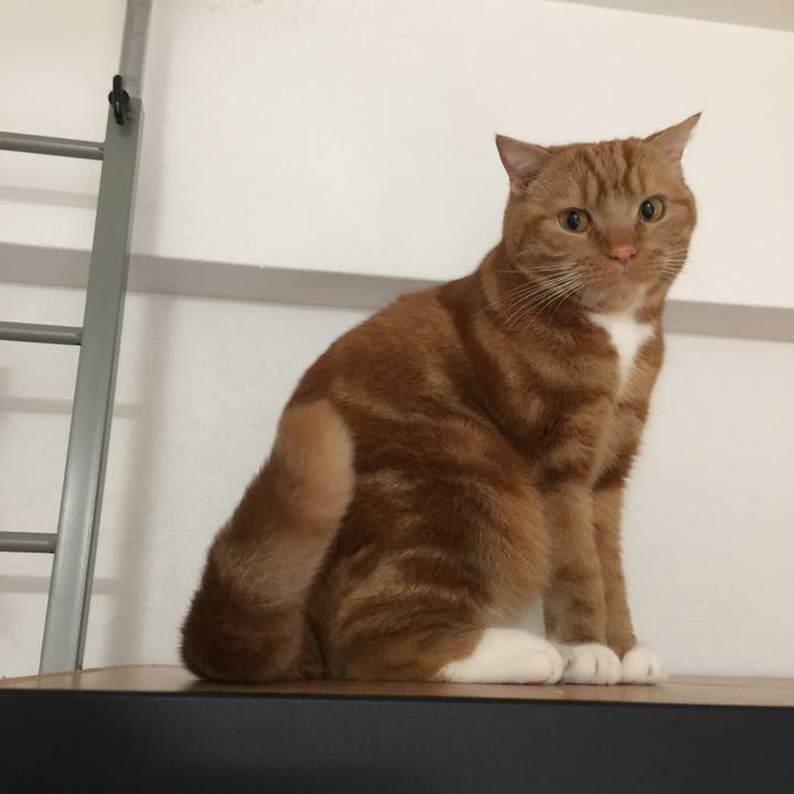 2b0259c5 0c6c 4008 8348 5ed37a798479 1543964538506