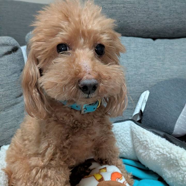 2b029cf6 e51d 46b3 b4fd e6b5bfa09ba1 1768553462611