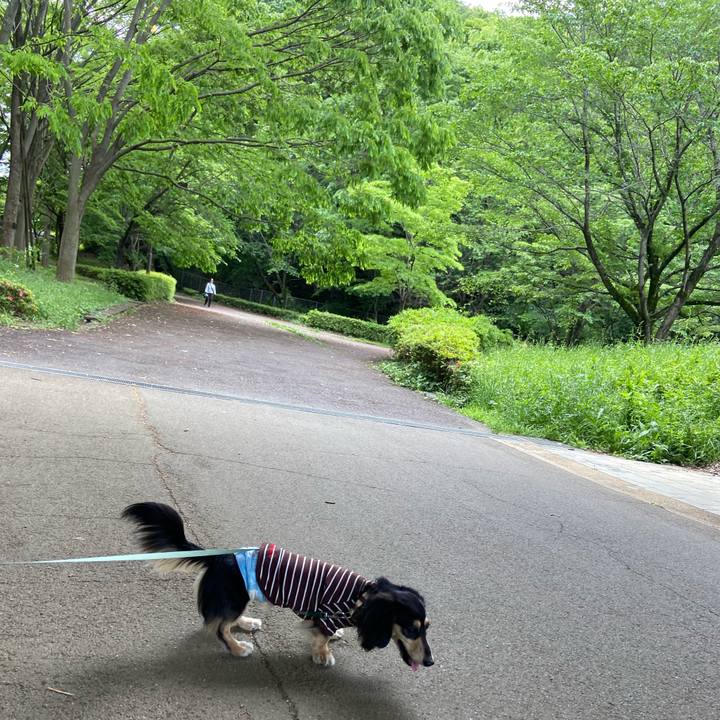 2b02b81f a4f3 474f b1d7 20fbca05897d 1715228155630