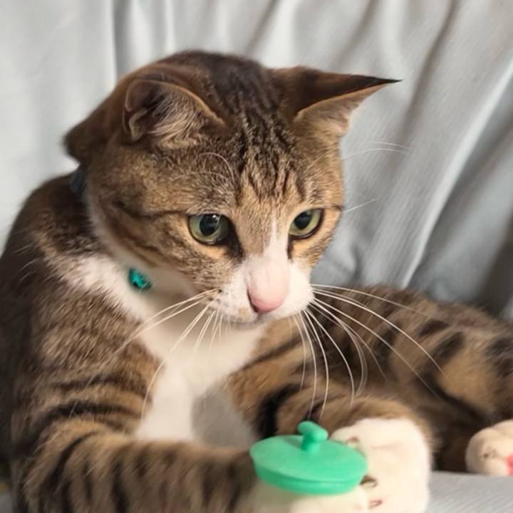 2b02d252 0d23 4ca7 9ff7 3d004e9792b6 1722860590476