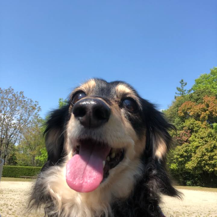 2b02f2e1 2656 416b a2a9 ca512ba33809 1587962913253