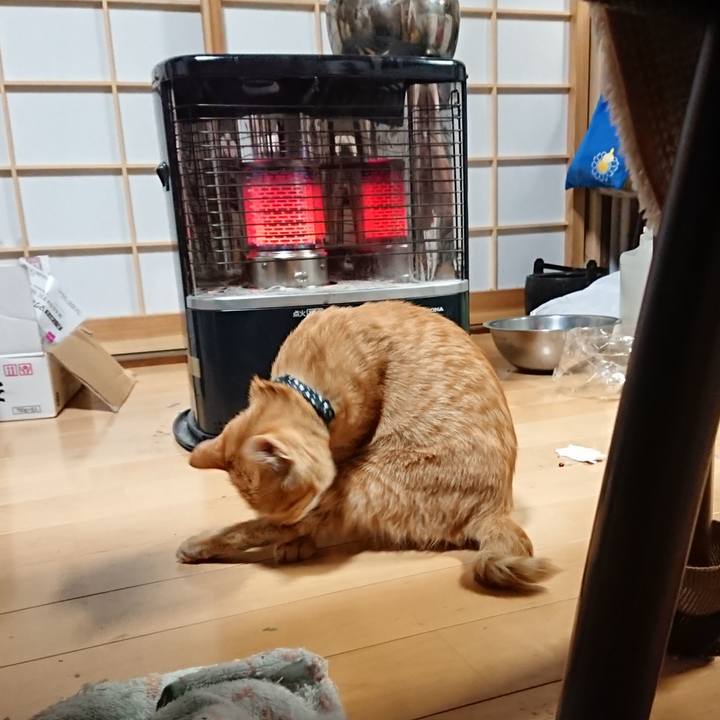 2b032867 99fb 4c1d a0a4 2a2914f140c7 1635110370797