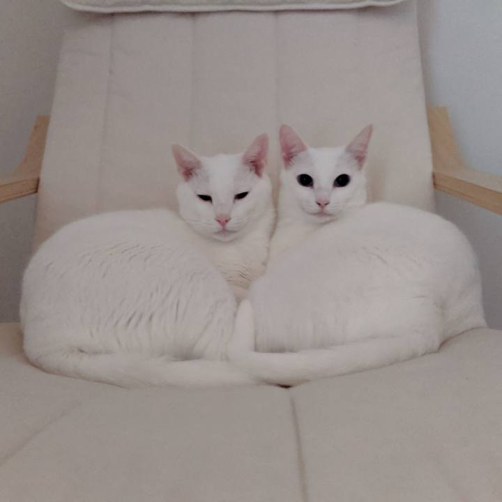 2b035638 9193 40cd b997 cdd16d20df0d 1566955260840