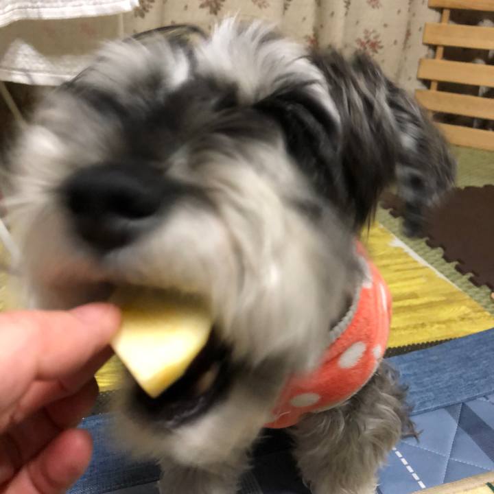 2b035d8a 2613 4c93 8464 a8c277c267a4 1671625517144