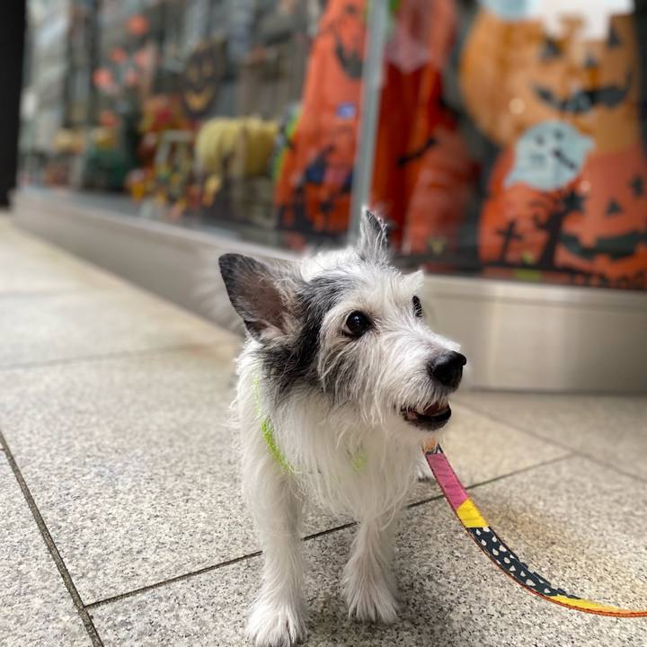 2b038ef7 9a33 41c2 bc2f 9fc8c413b720 1635672995358