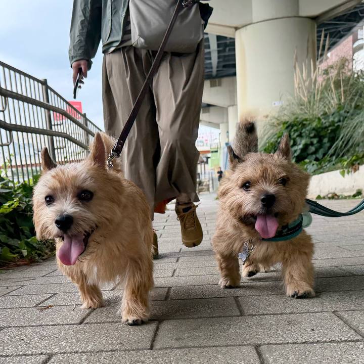 2b039d04 4bfe 4c07 94b7 8daedcbc20fa 1760370252550