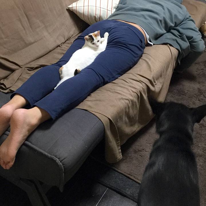 2b03e930 5a28 4e29 9f33 6173a995a832 1544010551044