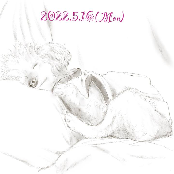 2b041a44 8830 4c32 bd3d 8ec67c61522b 1652697595178