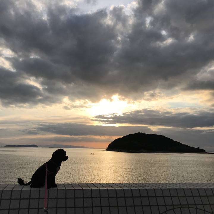 2b04692d 8518 419e bb7a 5b697a5d0a9f 1539335189139