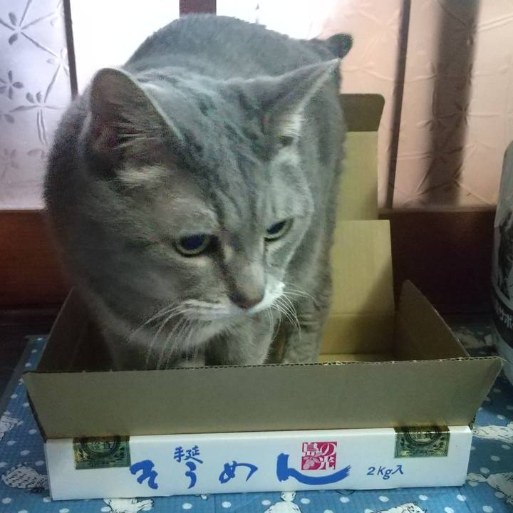 2b046952 7129 43cc 869e 6464a377521c 1635719997111