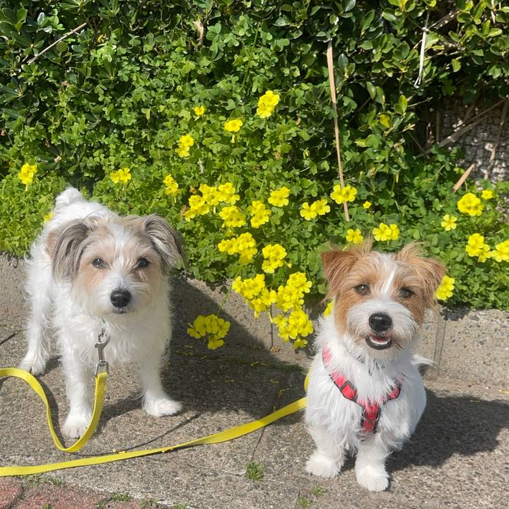 2b050e87 8399 4bc4 83d0 951acc293cec 1772330440005