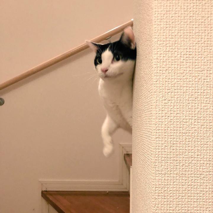 2b056bd9 901c 475f bddd 4f6997dc8f9a 1542702955978