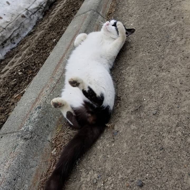 2b056caf e0c4 4001 83bd 3a6ff84d5610 1586842379148