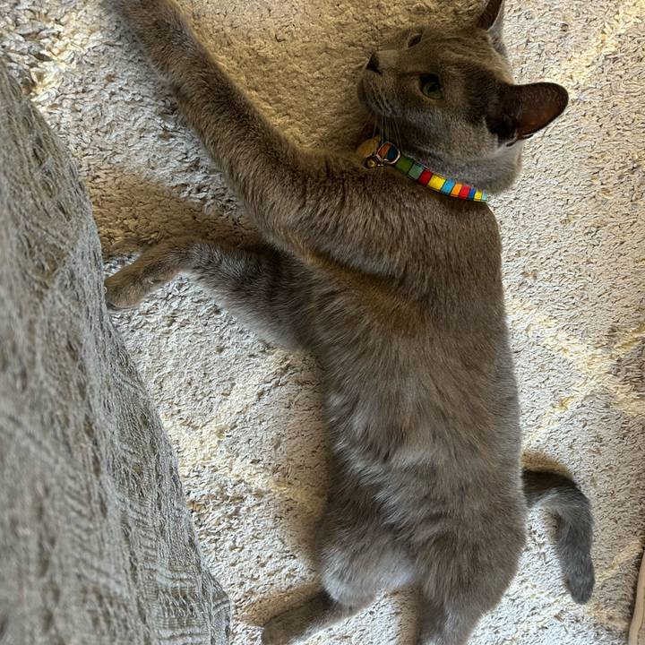 2b057e60 c117 418b b45d ce483228ad57 1727500870977