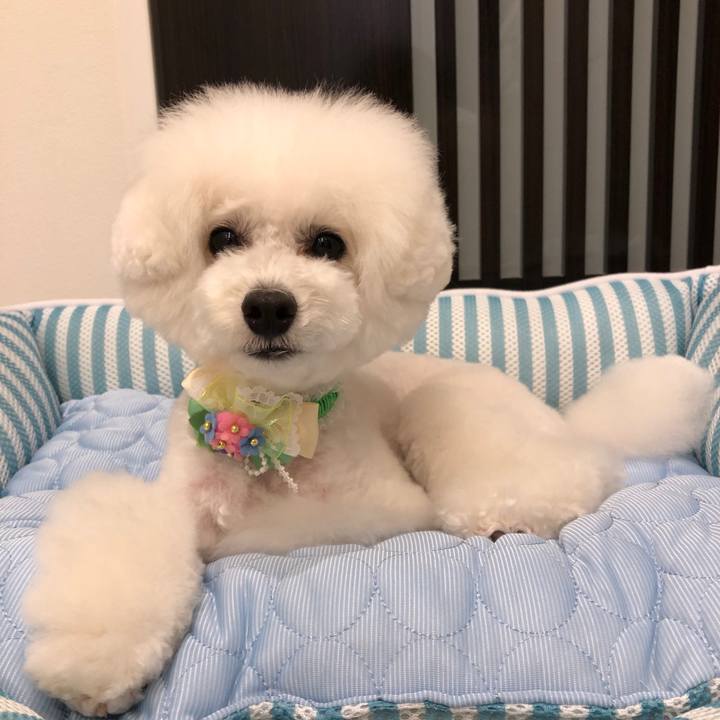 2b058762 e992 487a bbc6 fadfecb54c63 1561019086835