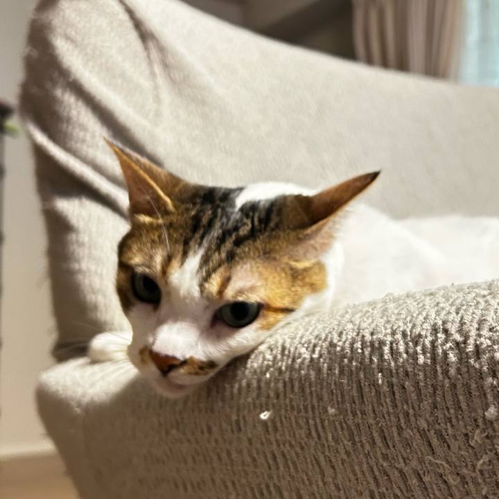 2b059210 92e2 420f 8f0a 995f84080ef0 1758857764272