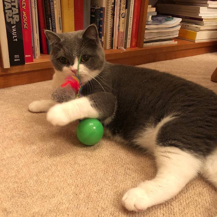 2b05931f f867 47c0 bc3e e81ef924e944 1541547922008