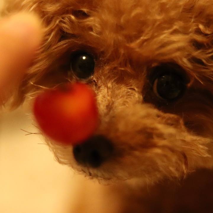 2b05b23c 0f61 43cd 944c e28cb1ecdf1b 1594133042087