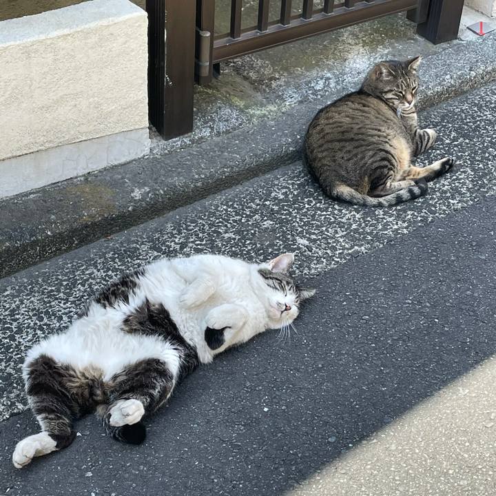 2b05e095 d6ac 48d5 af18 f4fc89f9541e 1619155672173