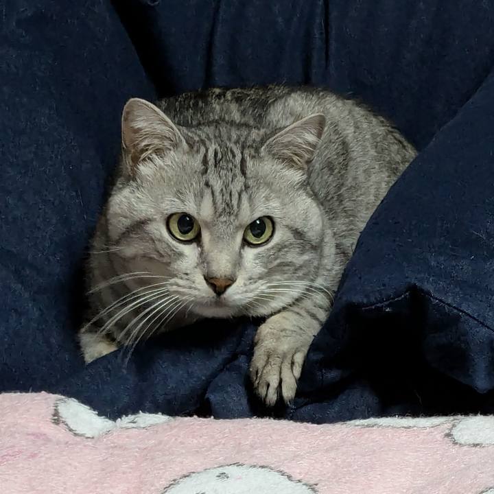 2b05e0da 365b 4624 8012 0e55e4470583 1768906382328