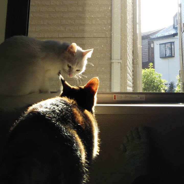 2b060c6d 0d1f 4c8d 851a b068debed3e1 1655807603483