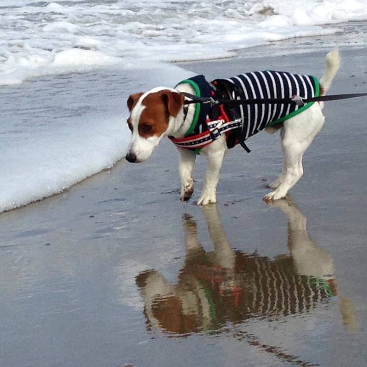 2b0628ef 218f 4eab b55b f8050b604da8 1512201899343