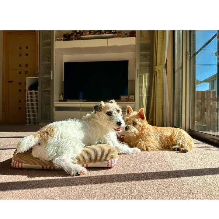 2b0629e5 7c02 4180 a3dc f2ab0485c352 1732374785598