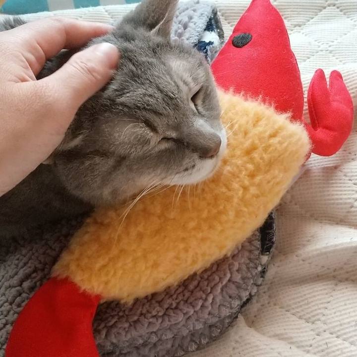 2b06342a dd76 495c 94db 263ffeb74387 1695595741388