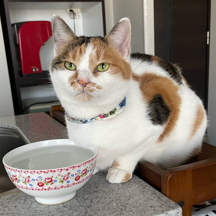 2b0714c1 c820 4104 a732 e176acce6287 1701746745373