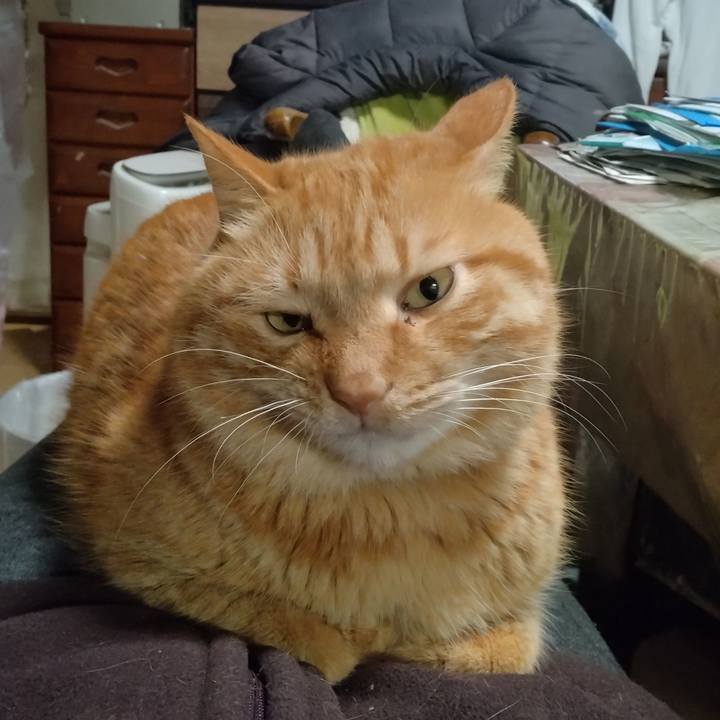 2b071ce2 8278 47da 8265 183cc85fd40b 1768637966808