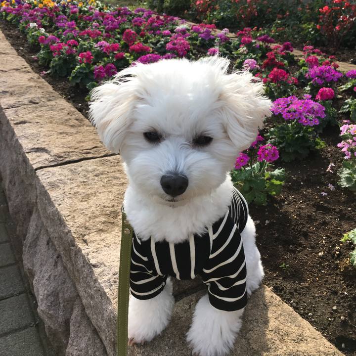 2b079a75 dbfe 4d42 b433 11595bd4efb5 1542548601393