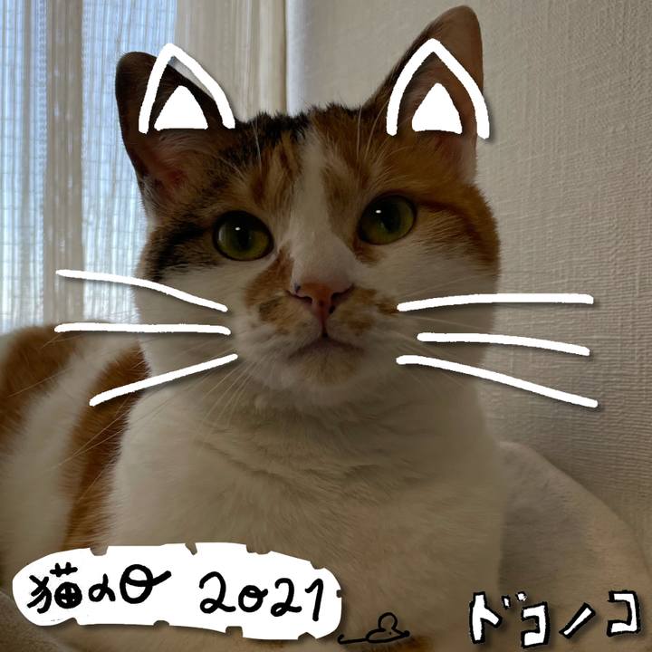 2b07c863 f5e5 4c26 9f62 81c048790030 1614002045254