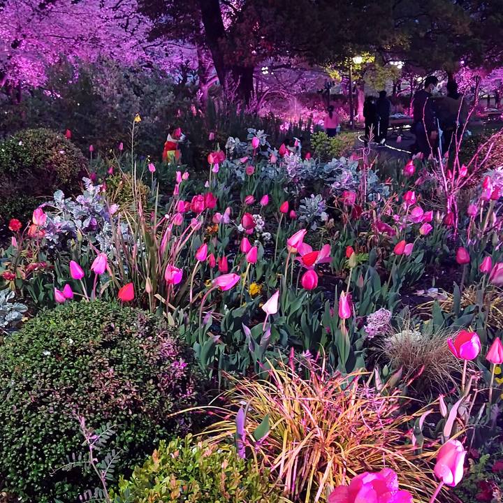 2b07ee66 5b0f 4282 a8b3 8a8f5c146ec2 1679748163016