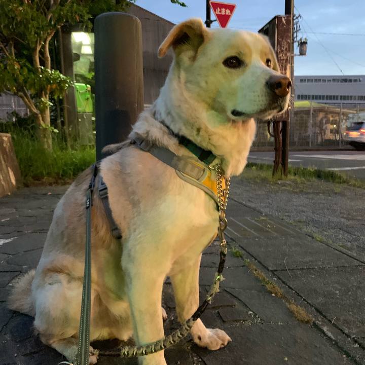 2b07fed3 c6e0 4390 a073 df0b7ad489b4 1557407288862