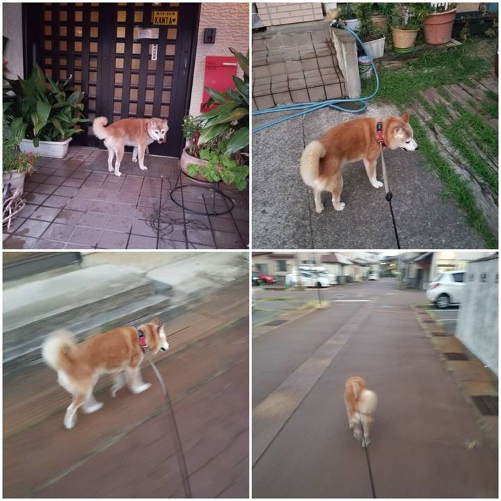 2b081aca 4d6f 443a 8aa7 409793e4dcd7 1753438715664