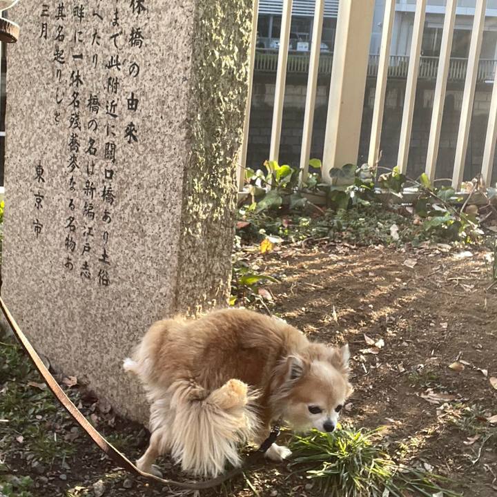 2b084aac f546 4092 8afb f922008ccd14 1771498526403