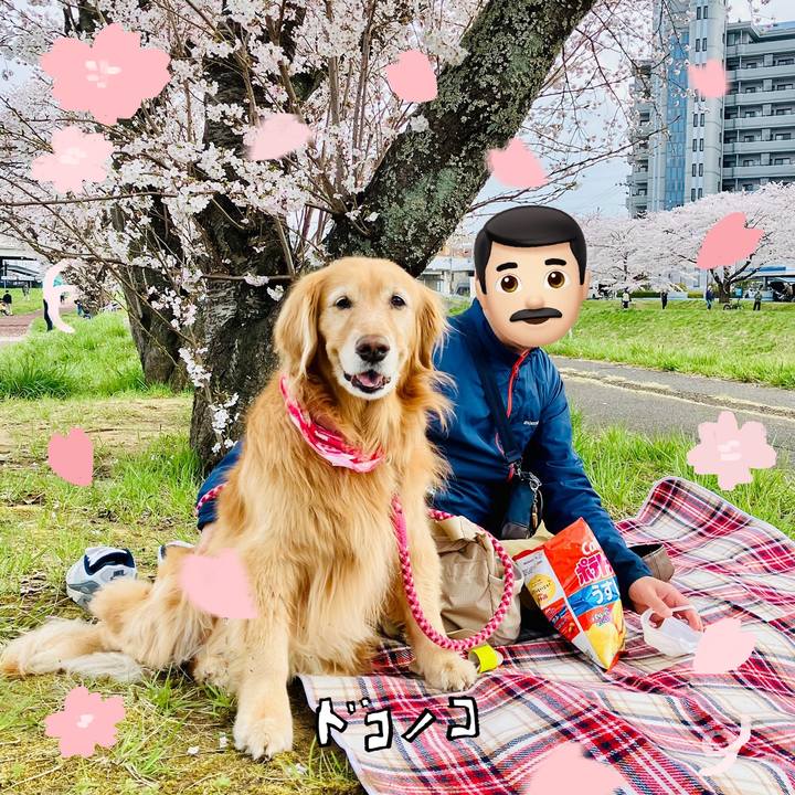 2b084be6 1cdc 4a7a 8697 21527d39403a 1744443190226